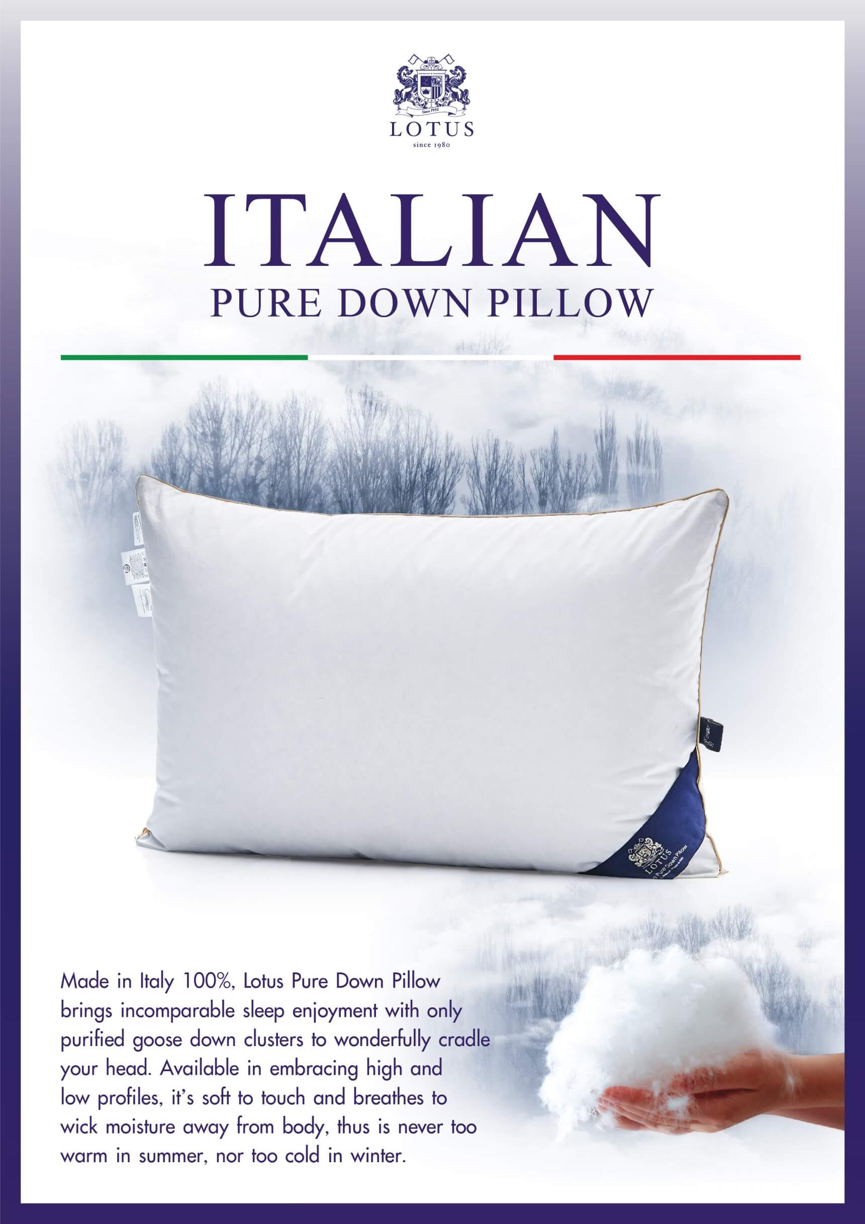 หมอนหนุน Lotus Italian Pure Down (ขนาด : 50 x 75 ซม.)