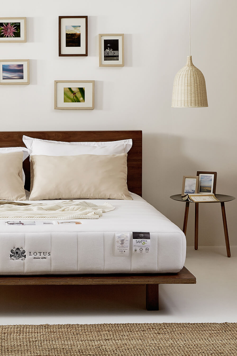 Lotus Mattress OSeason Plus Mattress City Thailand